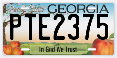 GA license plate PTE2375