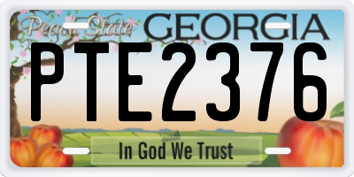 GA license plate PTE2376