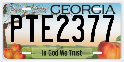 GA license plate PTE2377