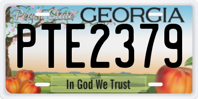 GA license plate PTE2379