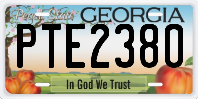 GA license plate PTE2380