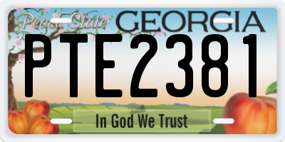 GA license plate PTE2381