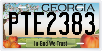 GA license plate PTE2383