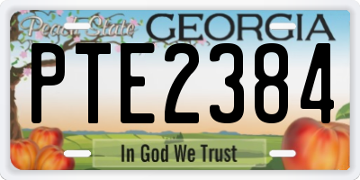 GA license plate PTE2384