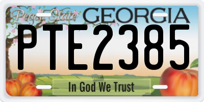 GA license plate PTE2385