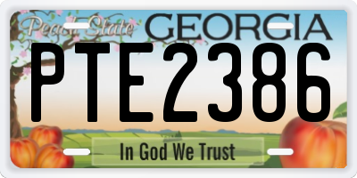 GA license plate PTE2386