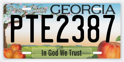 GA license plate PTE2387