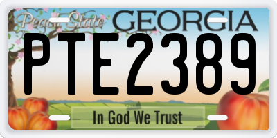 GA license plate PTE2389