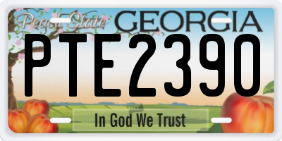 GA license plate PTE2390