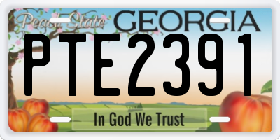 GA license plate PTE2391