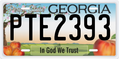 GA license plate PTE2393