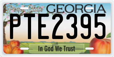 GA license plate PTE2395