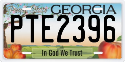 GA license plate PTE2396