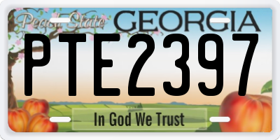 GA license plate PTE2397