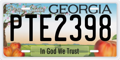 GA license plate PTE2398