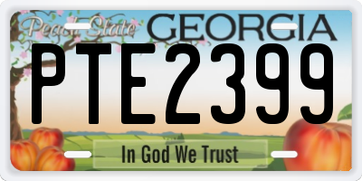 GA license plate PTE2399