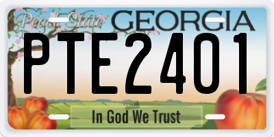 GA license plate PTE2401