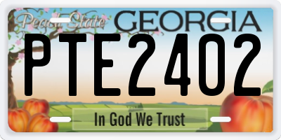 GA license plate PTE2402