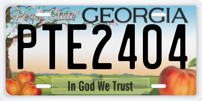 GA license plate PTE2404