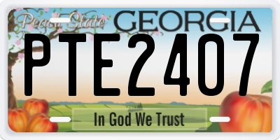 GA license plate PTE2407