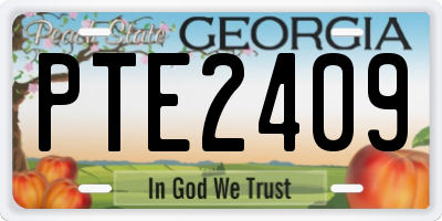 GA license plate PTE2409