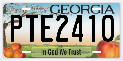 GA license plate PTE2410