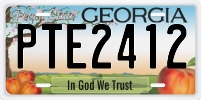 GA license plate PTE2412