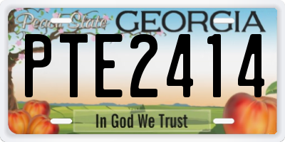 GA license plate PTE2414