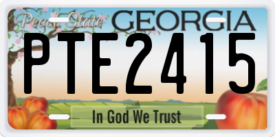 GA license plate PTE2415