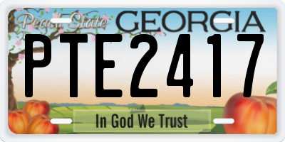 GA license plate PTE2417