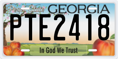 GA license plate PTE2418