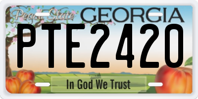 GA license plate PTE2420