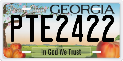 GA license plate PTE2422