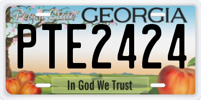 GA license plate PTE2424