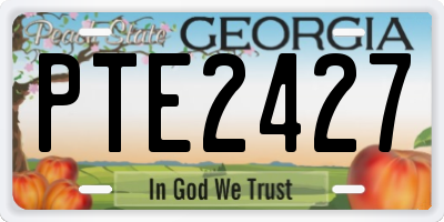 GA license plate PTE2427
