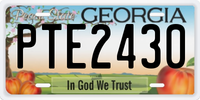 GA license plate PTE2430