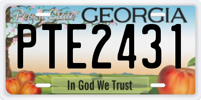 GA license plate PTE2431
