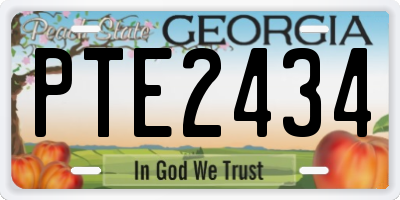 GA license plate PTE2434