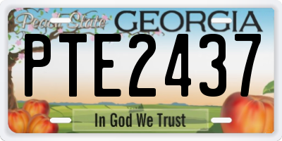 GA license plate PTE2437
