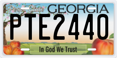 GA license plate PTE2440