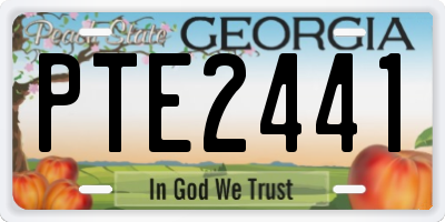 GA license plate PTE2441