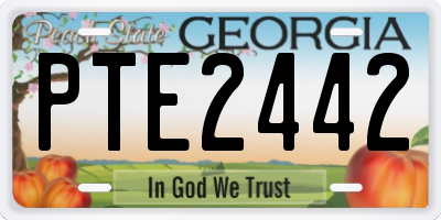 GA license plate PTE2442