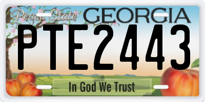 GA license plate PTE2443