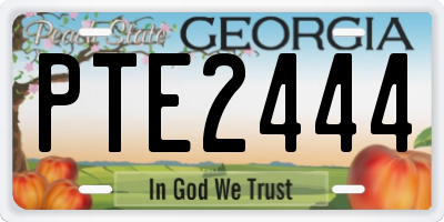 GA license plate PTE2444