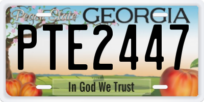 GA license plate PTE2447