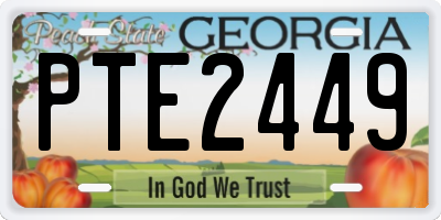 GA license plate PTE2449