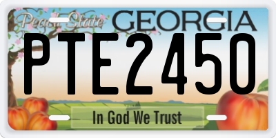 GA license plate PTE2450