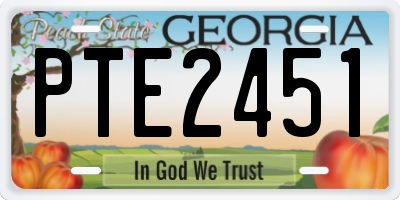 GA license plate PTE2451