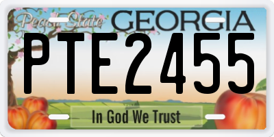 GA license plate PTE2455