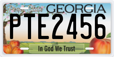 GA license plate PTE2456